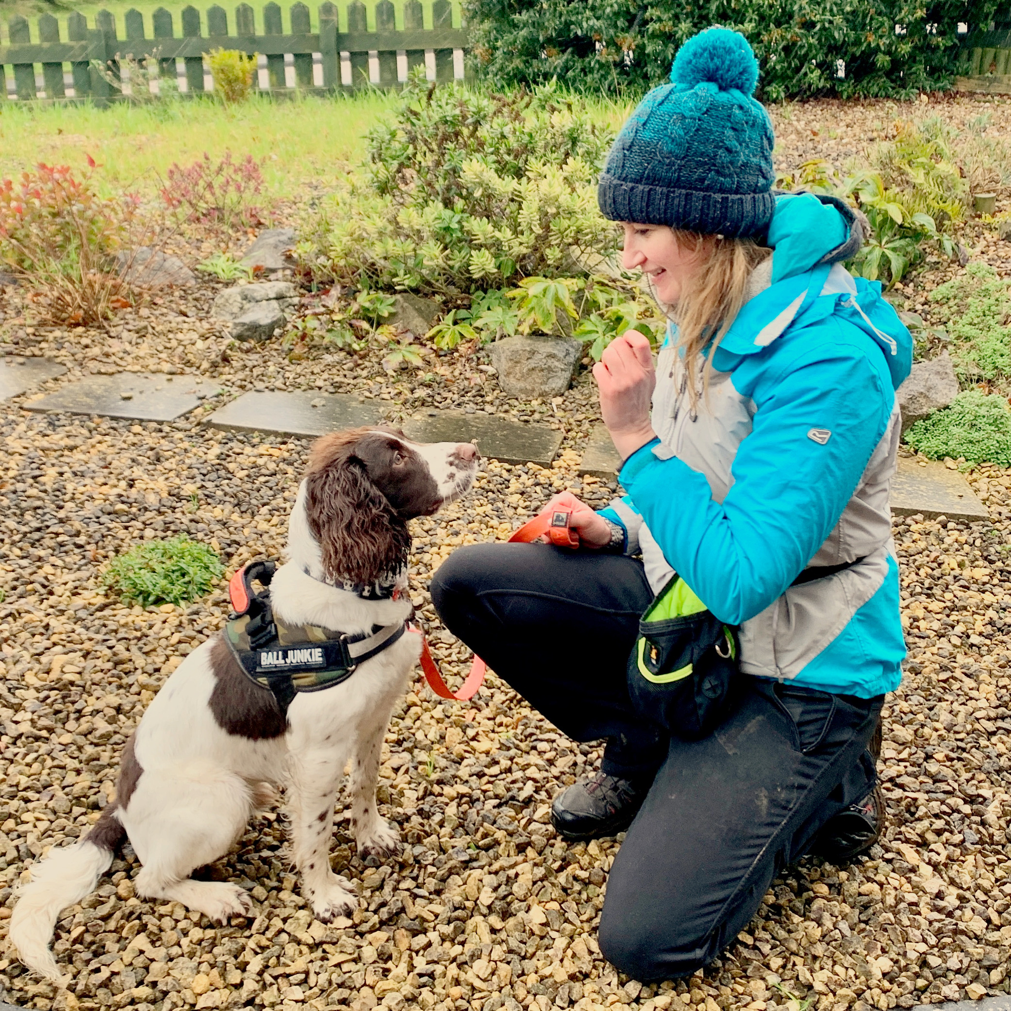 Dog obedience training