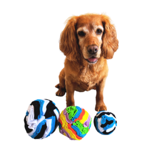 Canine enrichment snuffle balls