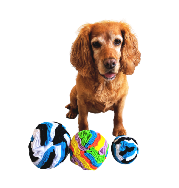 Canine enrichment snuffle balls