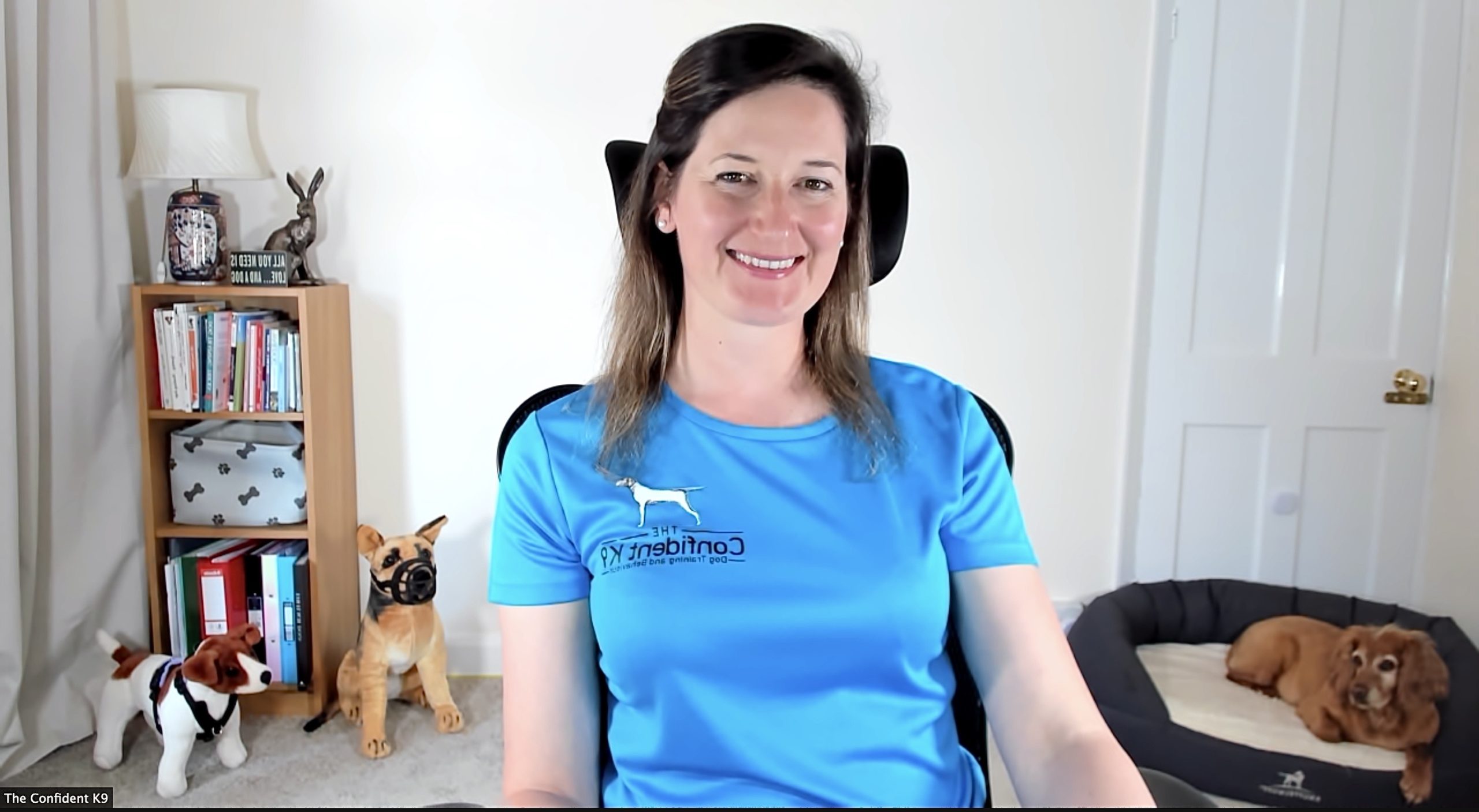 Online dog training