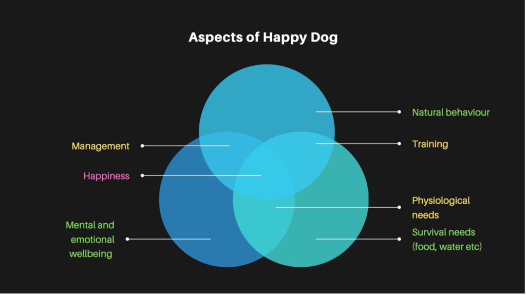 Graph with three circles showing different behavioural aspects of a happy dog