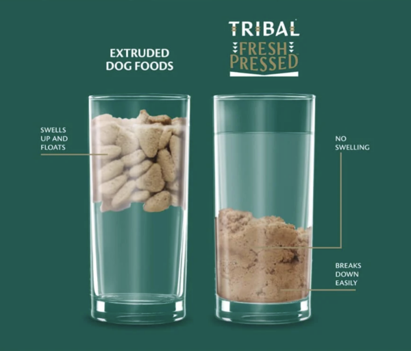 Two glasses with dog food and water showing the difference between cold-pressed food and extruded food