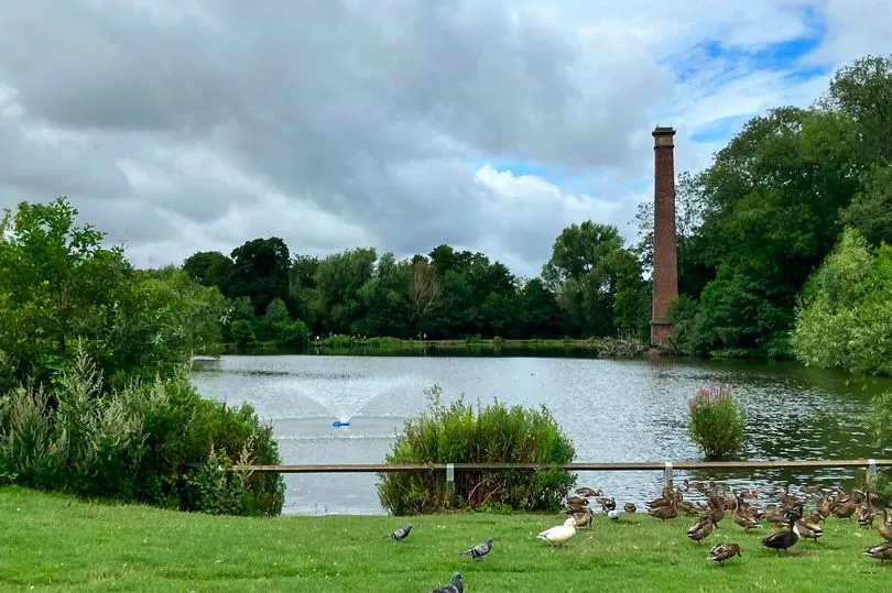 Good dog walking park in Kidderminster, Worcestershire showing stacks pool with ducks 