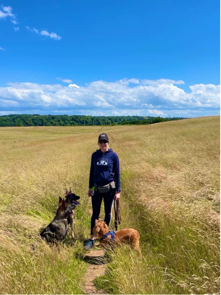 Dog walking in open field at The Snipes, Stourport, Worcestershire