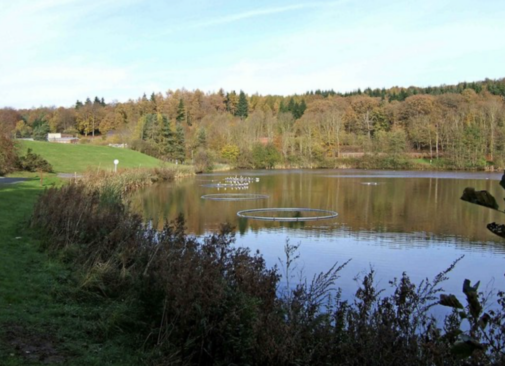 View of Trimpley reservoir from a popular dog walking route