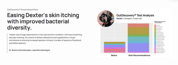 Gut microbiome