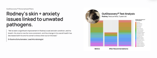 Gut microbiome