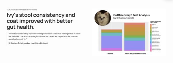 Gut microbiome