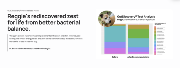 Gut microbiome