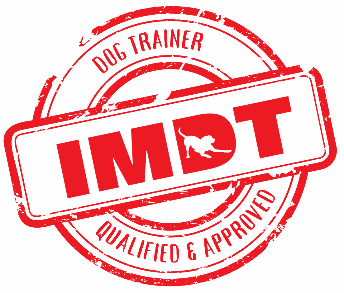 Qualified dog trainer IMDT The Confident K9