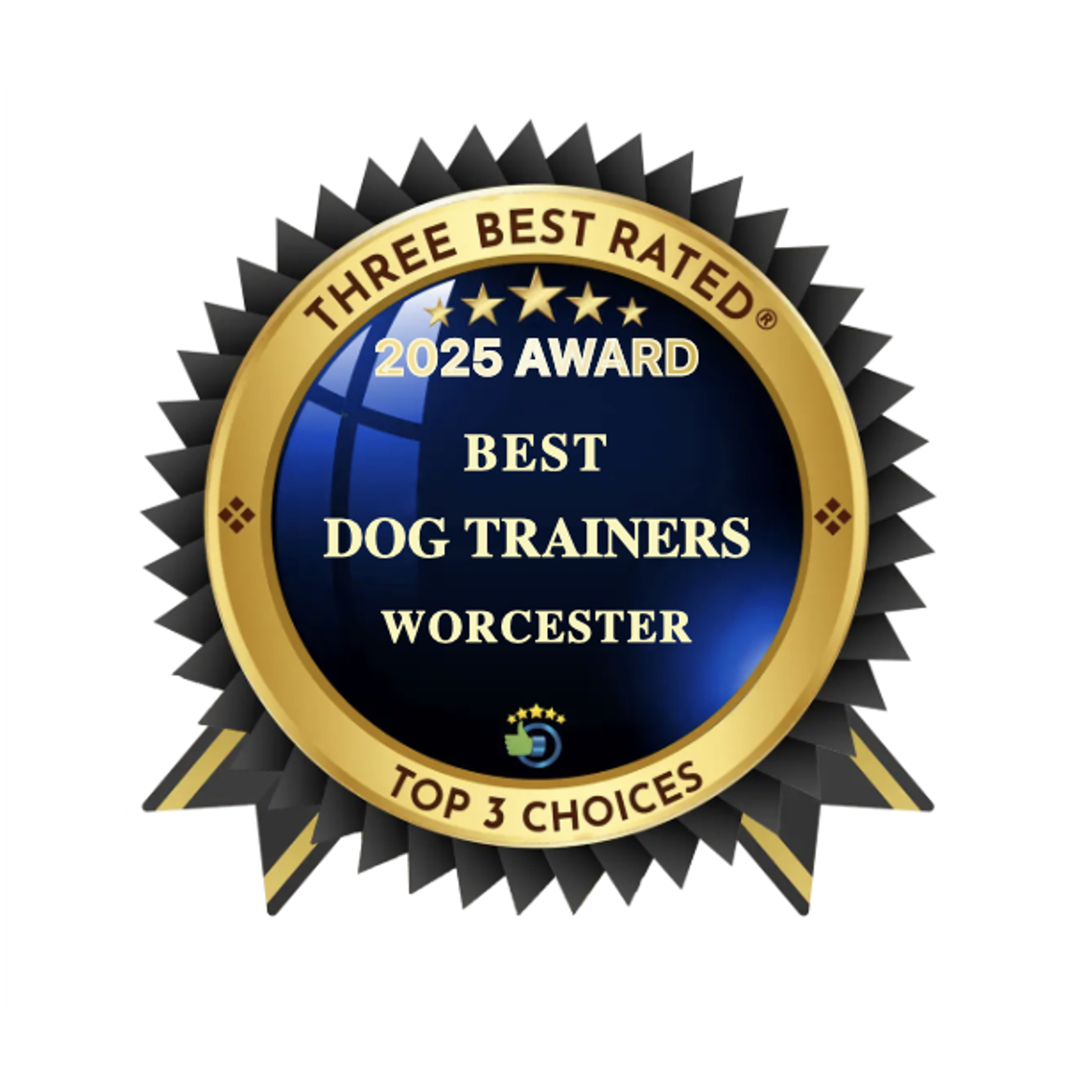 Three Best Rated 2025 award best dog trainers Worcester — The Confident K9