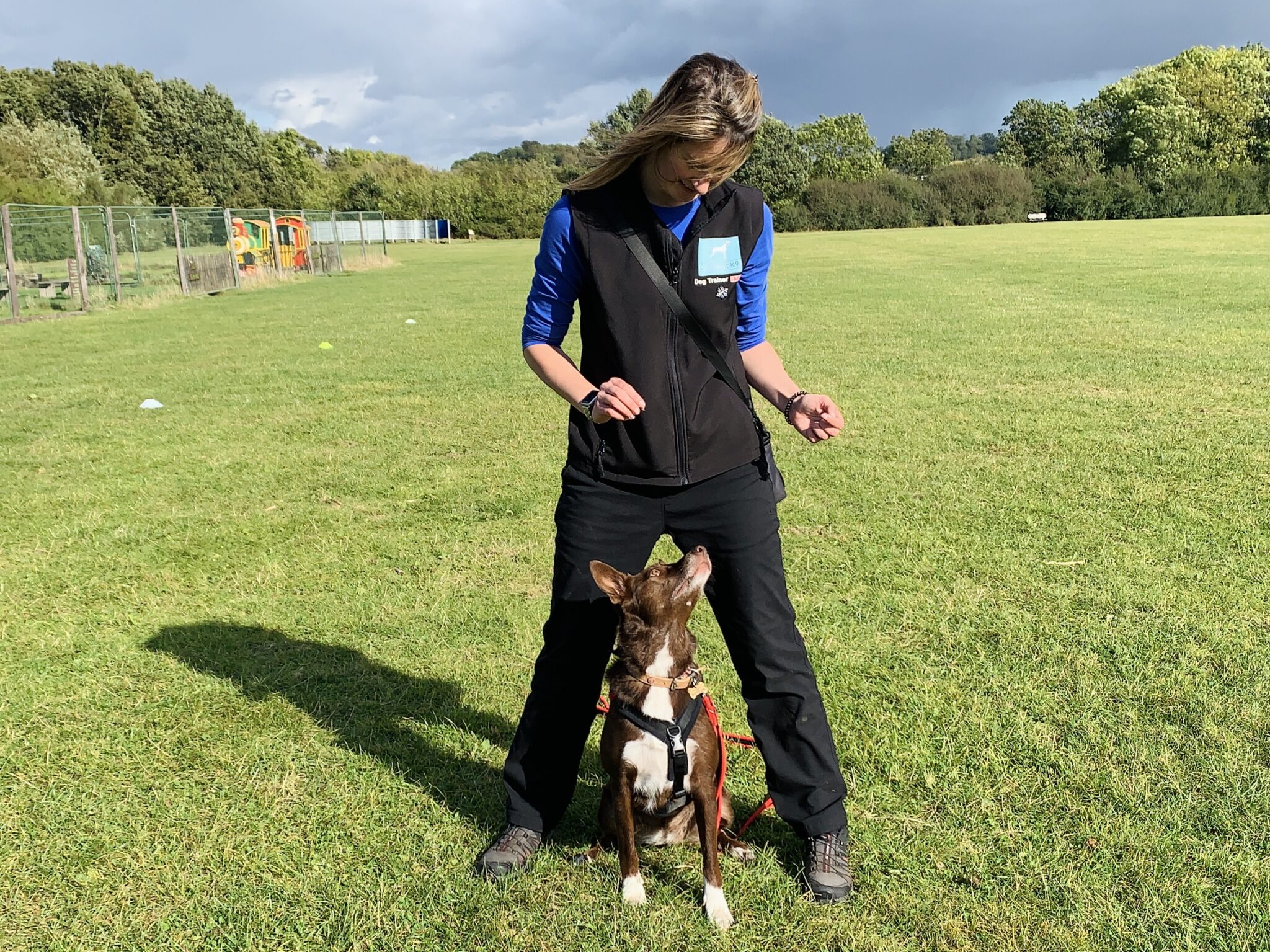 dog behaviourist Kidderminster