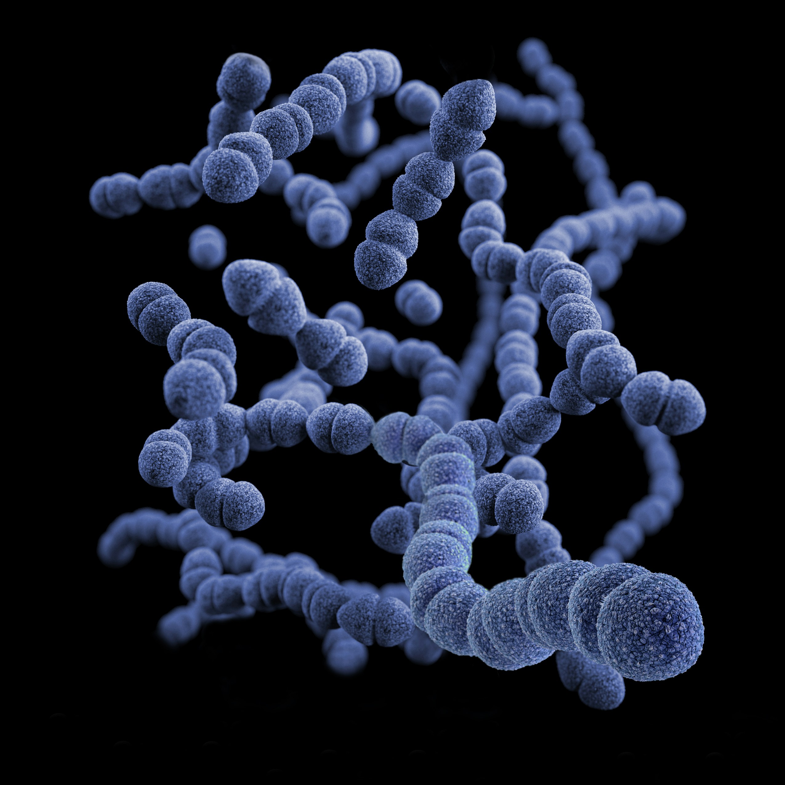 dog gut microbiome and behaviour explained by The Confident K9